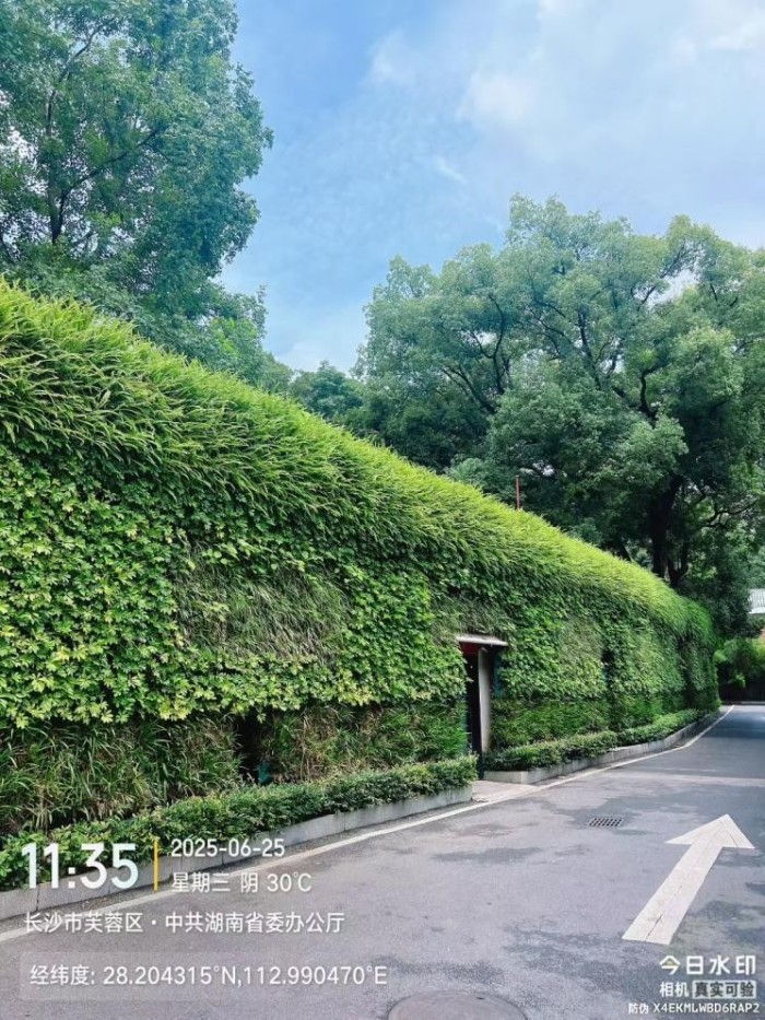 湖南草字頭生態(tài)環(huán)境建設(shè)有限公司,人造草坪假草皮,湖南雨水收集處理工藝 湖南草字頭生態(tài)環(huán)境建設(shè)有限公司,人造草坪假草皮,湖南雨水收集處理工藝