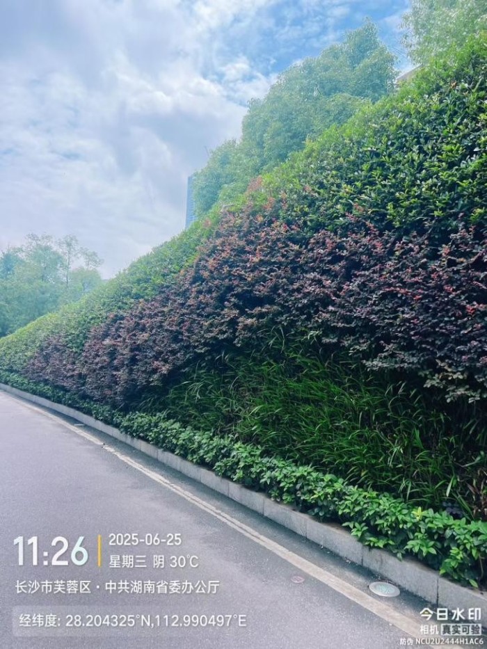 湖南草字頭生態(tài)環(huán)境建設(shè)有限公司,人造草坪假草皮,湖南雨水收集處理工藝 湖南草字頭生態(tài)環(huán)境建設(shè)有限公司,人造草坪假草皮,湖南雨水收集處理工藝